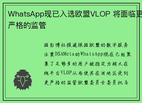 WhatsApp现已入选欧盟VLOP 将面临更严格的监管