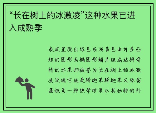 “长在树上的冰激凌”这种水果已进入成熟季